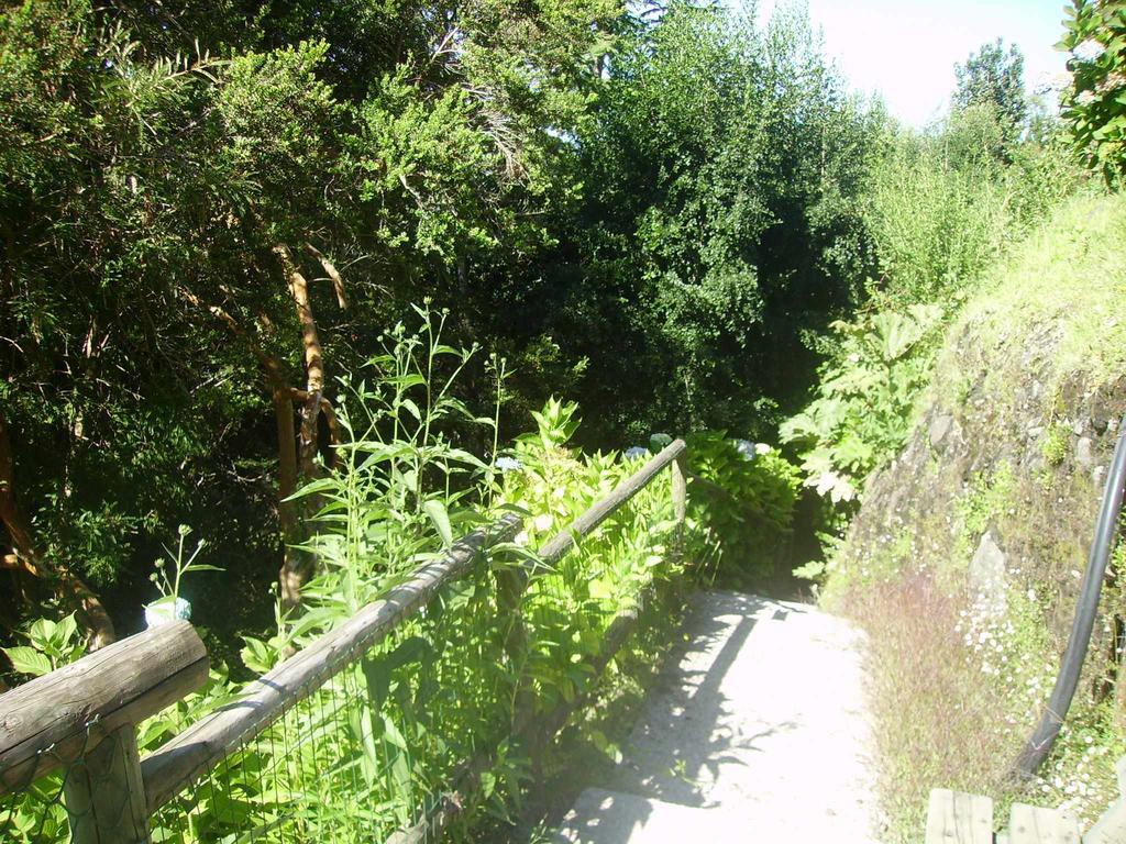 Casa Orilla Lago Villarrica
