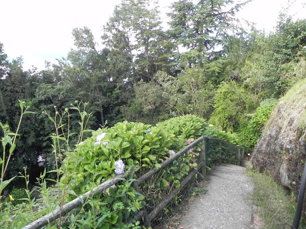 Casa Orilla Lago Villarrica